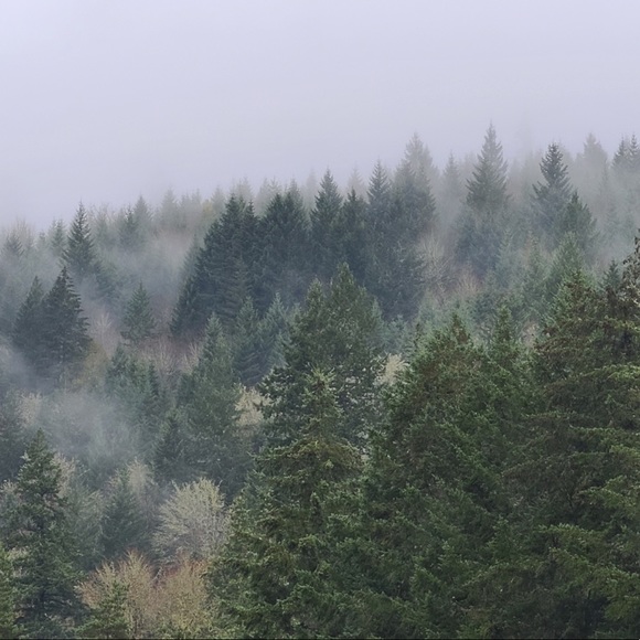 • Welcome! • - Picture 6 of 7